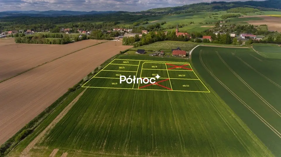 Zdjęcie 2