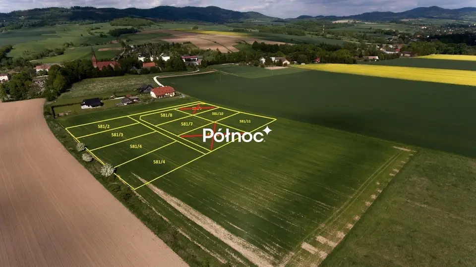 Zdjęcie 3