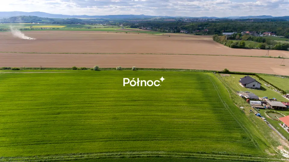Zdjęcie 4
