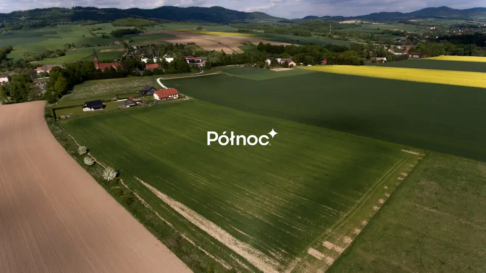 Zdjęcie 6