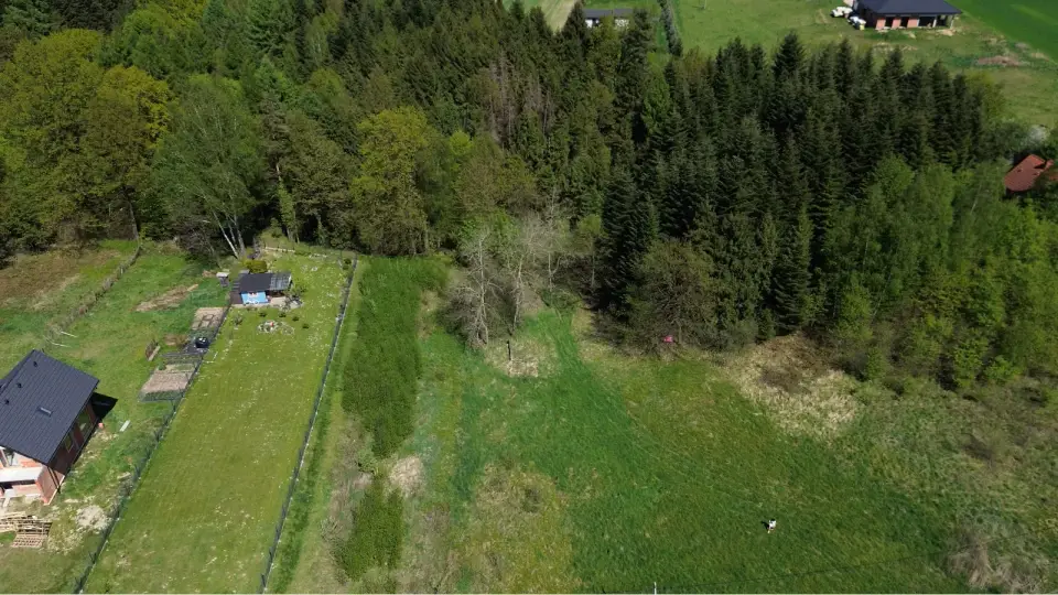 Zdjęcie 3