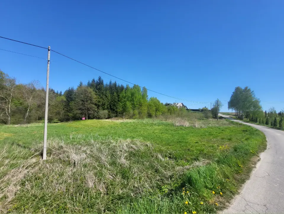 Zdjęcie 4
