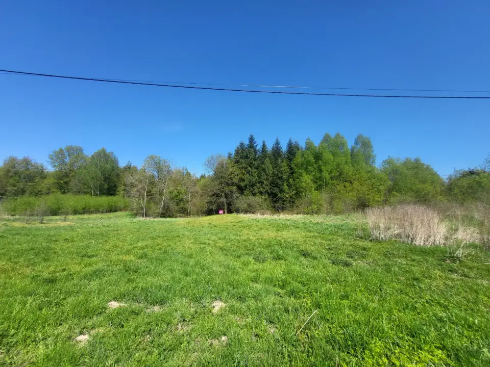 Zdjęcie 5