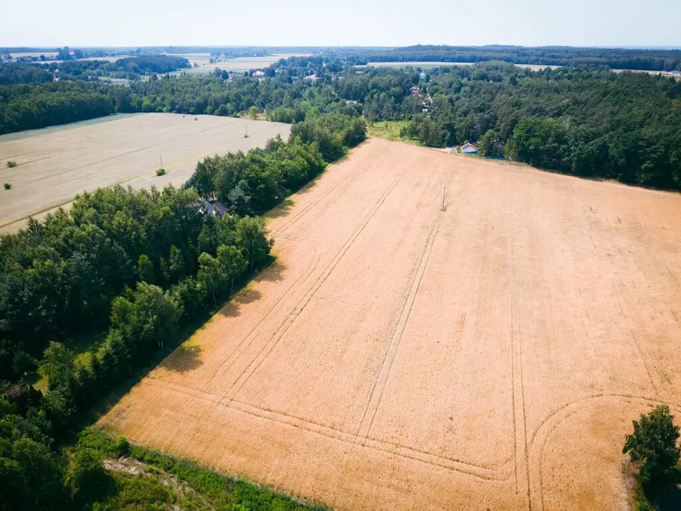 Działka budowlana 800 m², Bądzyń