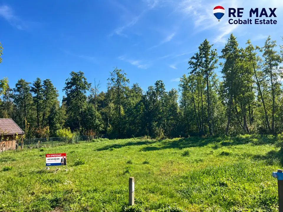 Działka rekreacyjna 3 002 m², Grabniak
