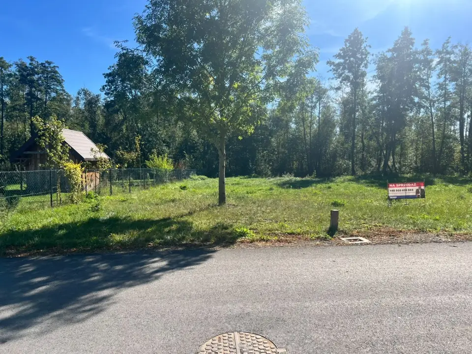 Zdjęcie 6