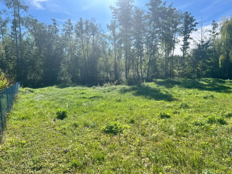 Zdjęcie 10