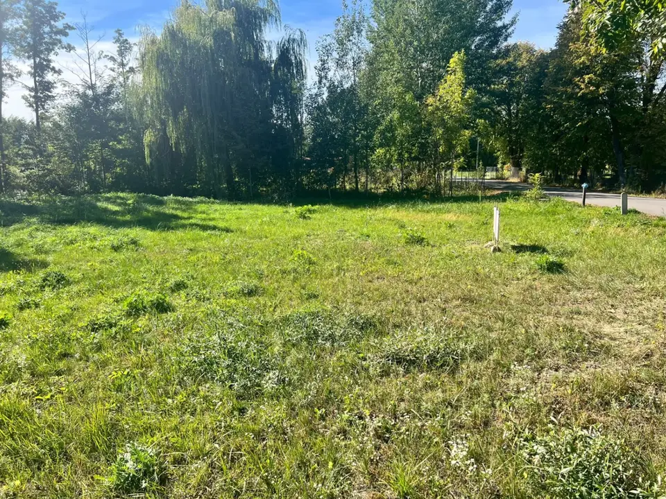 Zdjęcie 11
