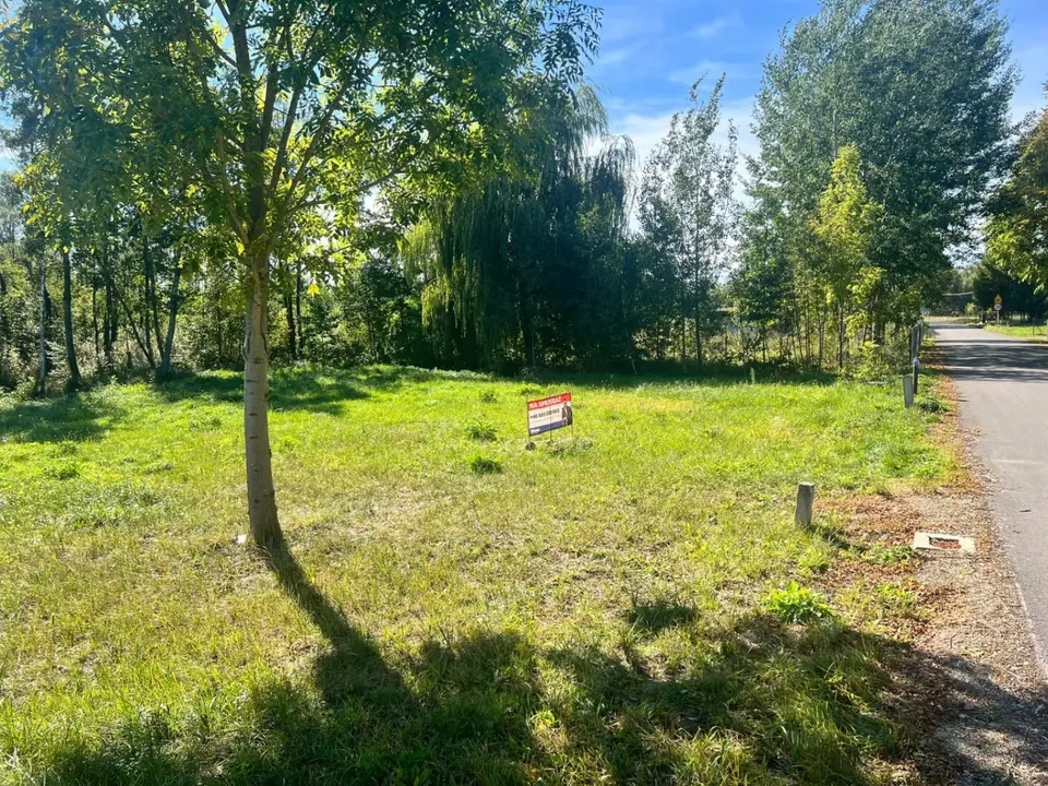 Zdjęcie 13