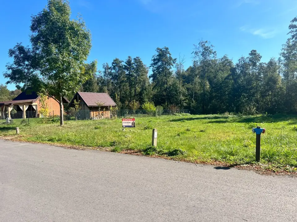 Zdjęcie 14