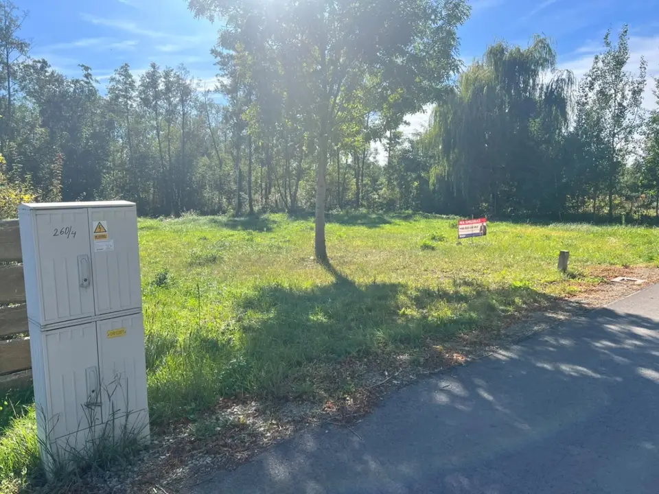 Zdjęcie 16