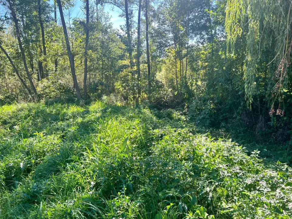 Zdjęcie 17
