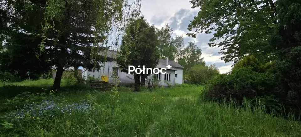 Zdjęcie 3
