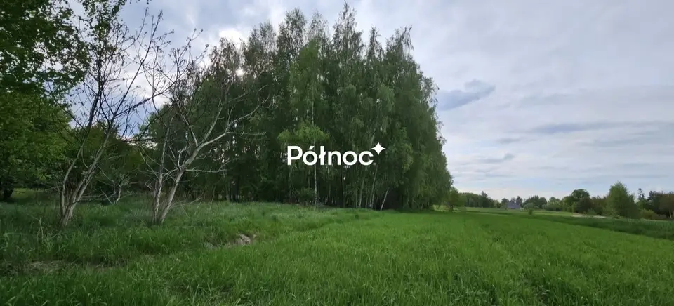 Zdjęcie 5