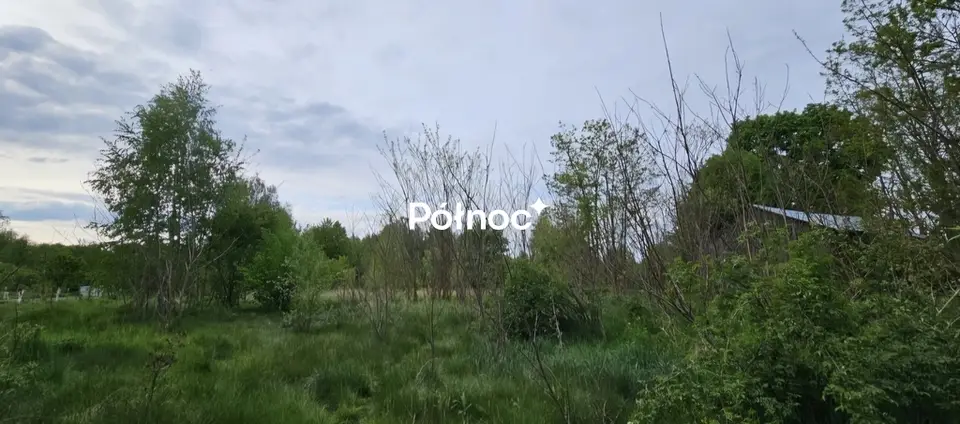 Zdjęcie 6