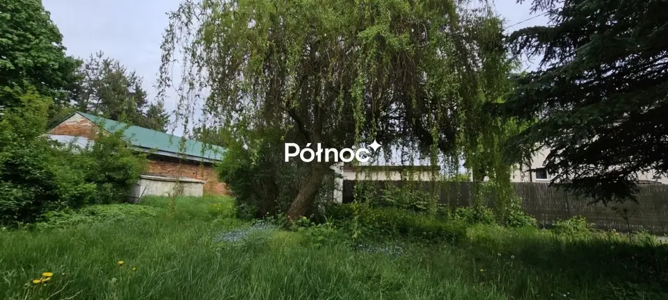 Zdjęcie 7