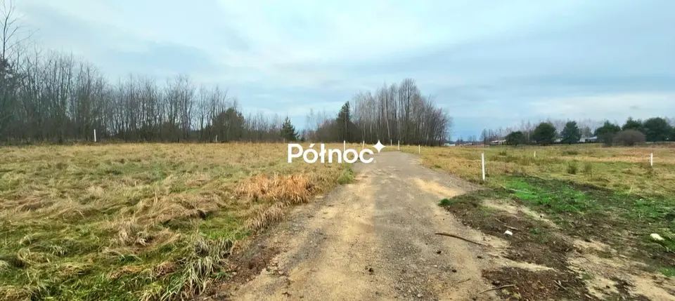 Zdjęcie 4