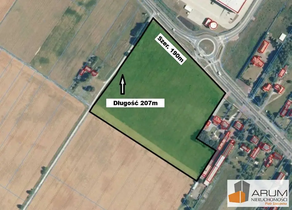 Zdjęcie 2