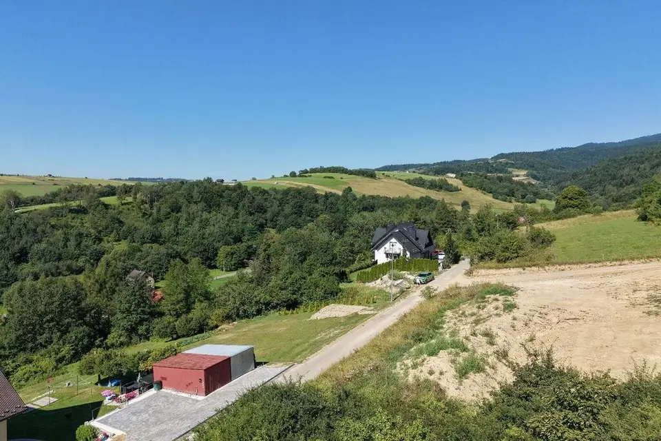 Zdjęcie 11