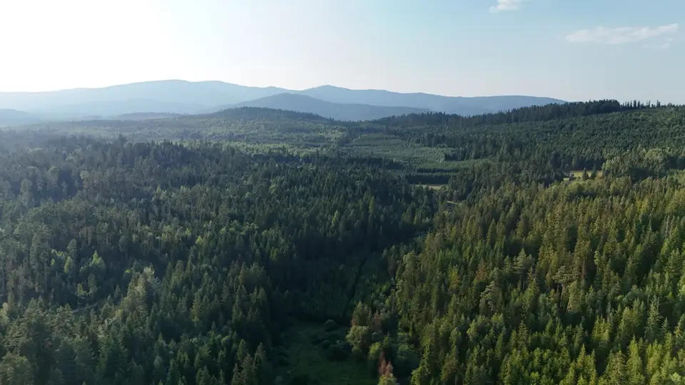Zdjęcie 9