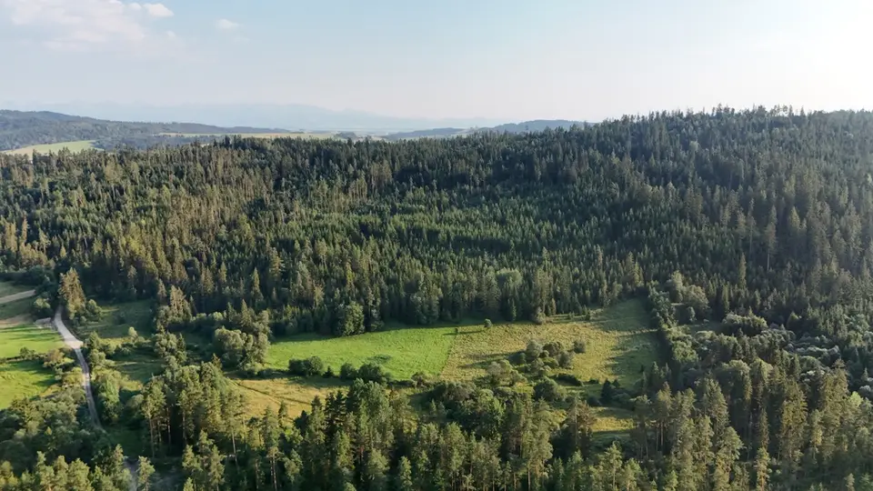 Zdjęcie 14