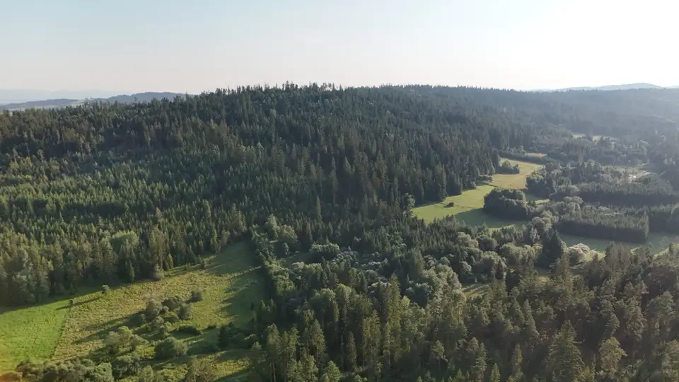 Zdjęcie 15