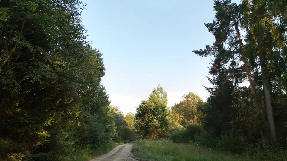 Zdjęcie 21