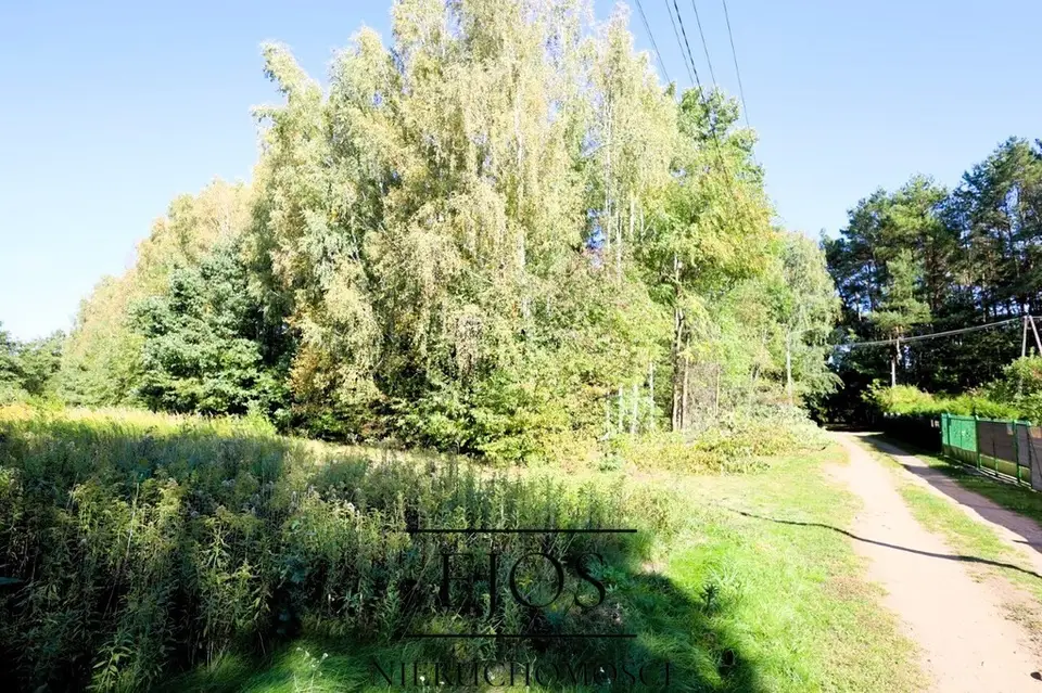 Zdjęcie 5