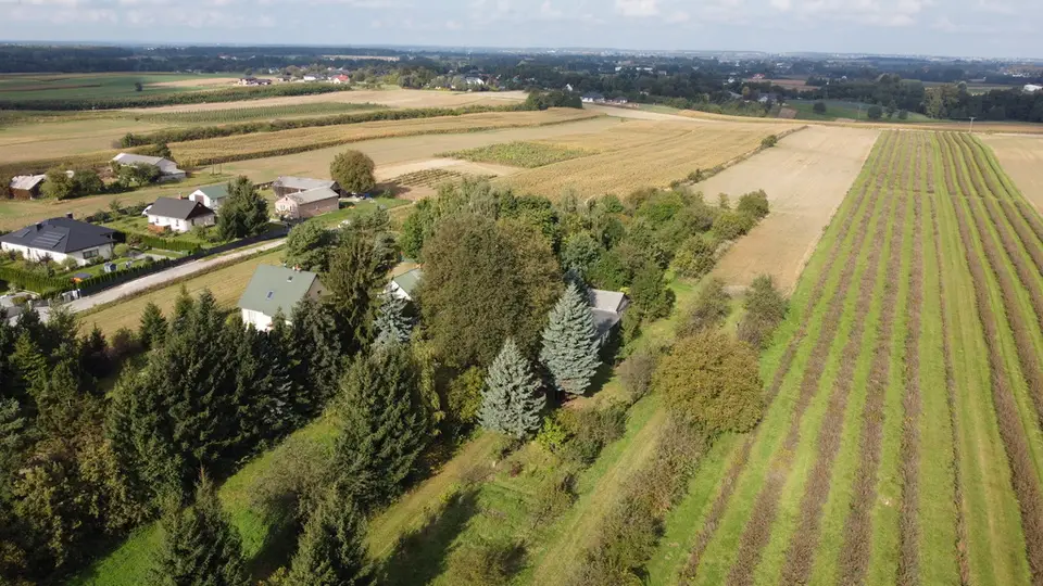 Zdjęcie 12