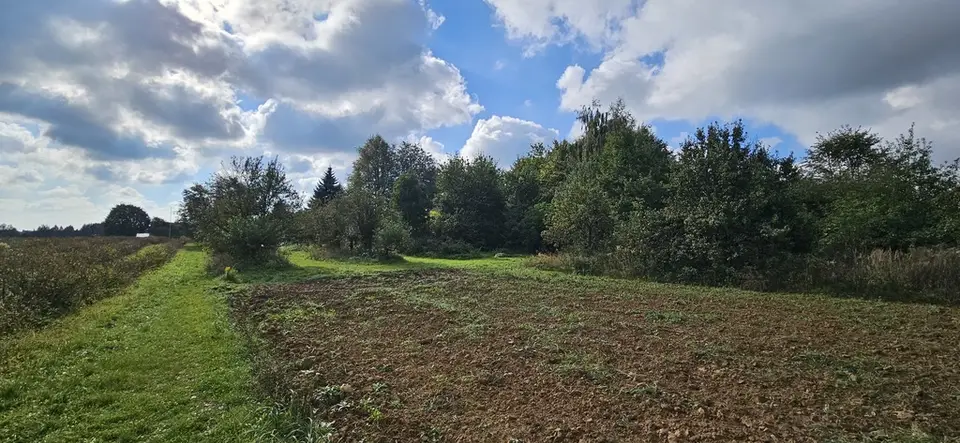 Zdjęcie 14