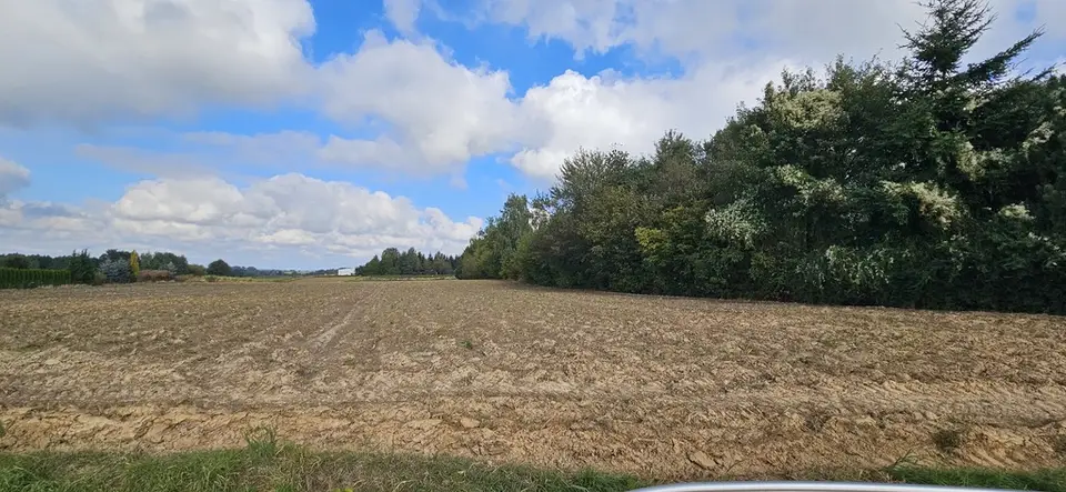 Zdjęcie 15
