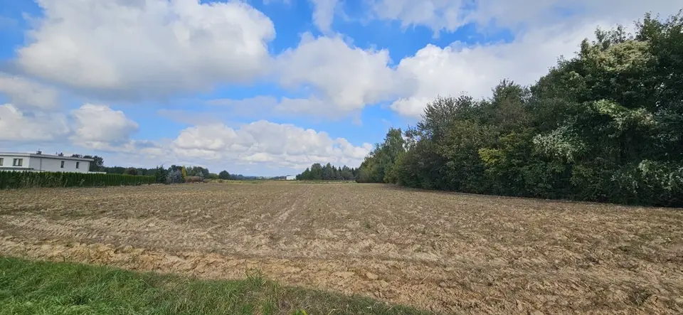 Zdjęcie 16