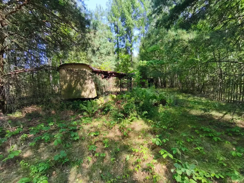 Zdjęcie 5