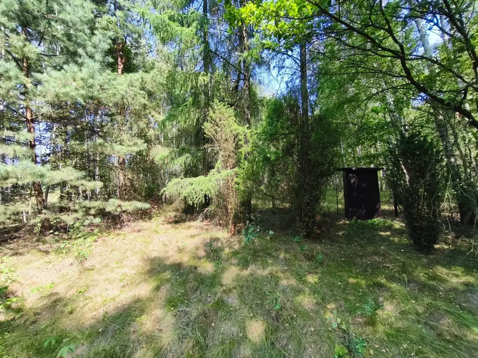 Zdjęcie 6