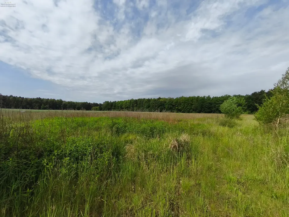 Działka budowlana 1 059 m², Nieborowice
