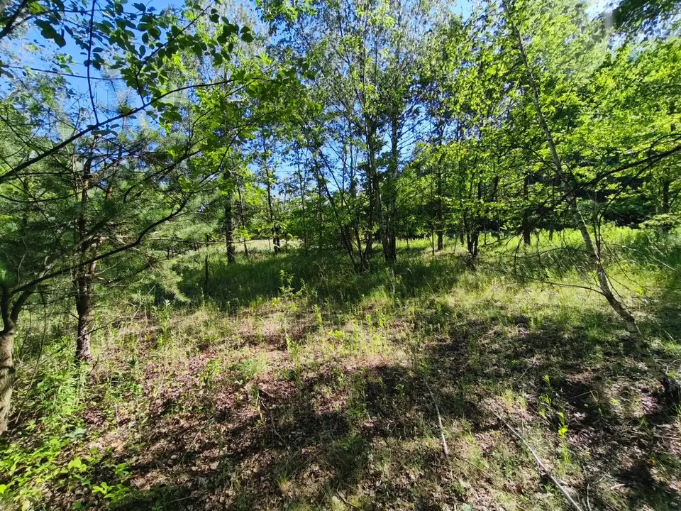 Działka budowlana 1 379 m², Pyskowice