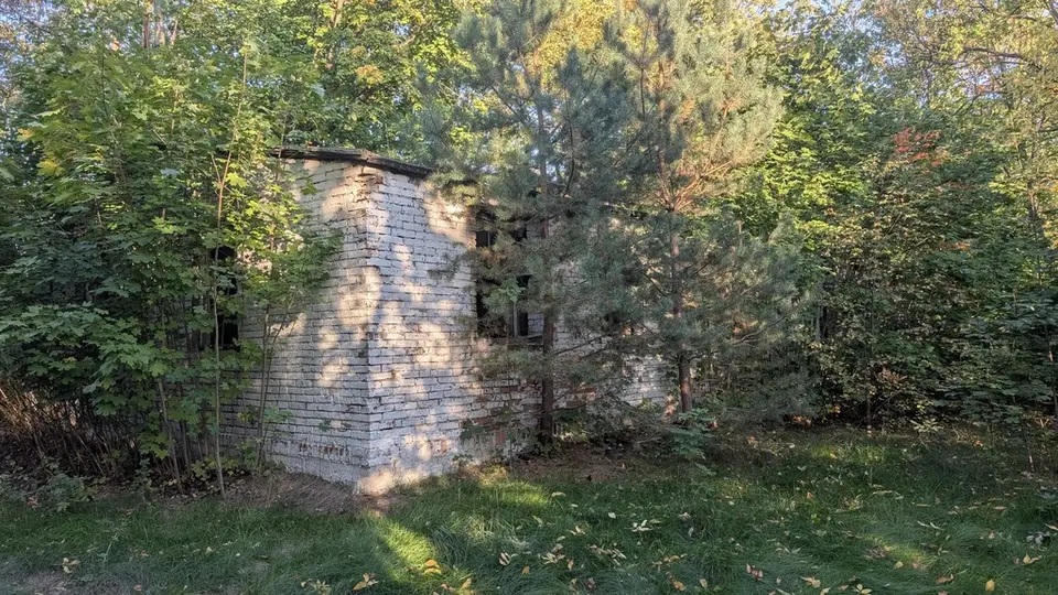 Zdjęcie 6