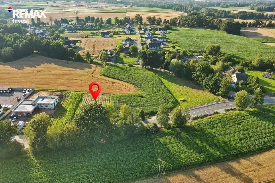 Zdjęcie 17