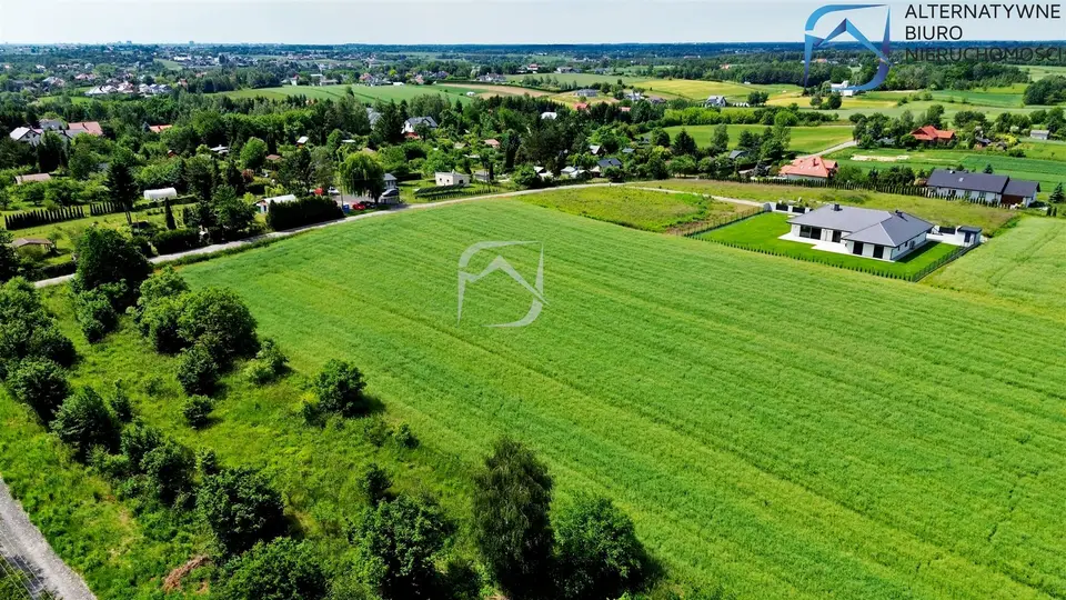 Zdjęcie 12