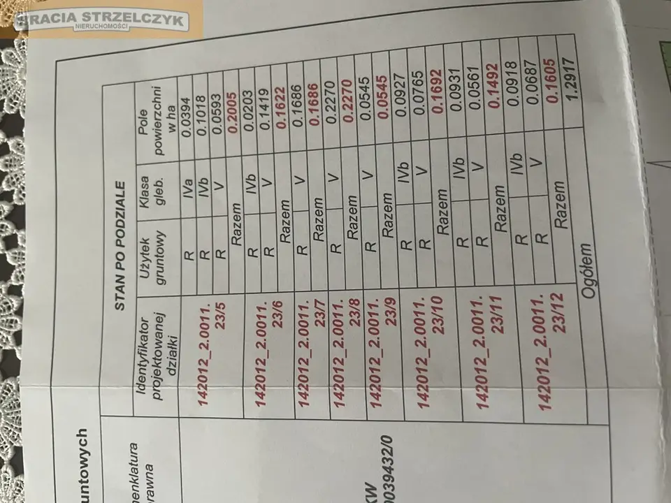 Zdjęcie 12