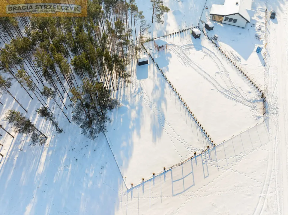 Zdjęcie 12