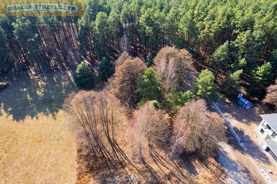 Zdjęcie 10