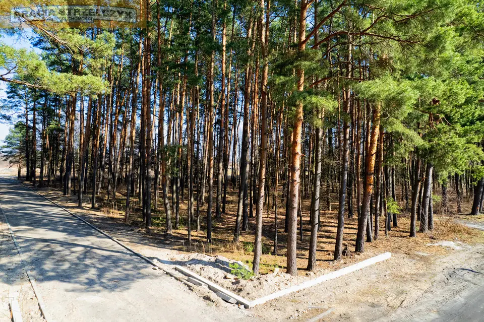 Zdjęcie 11