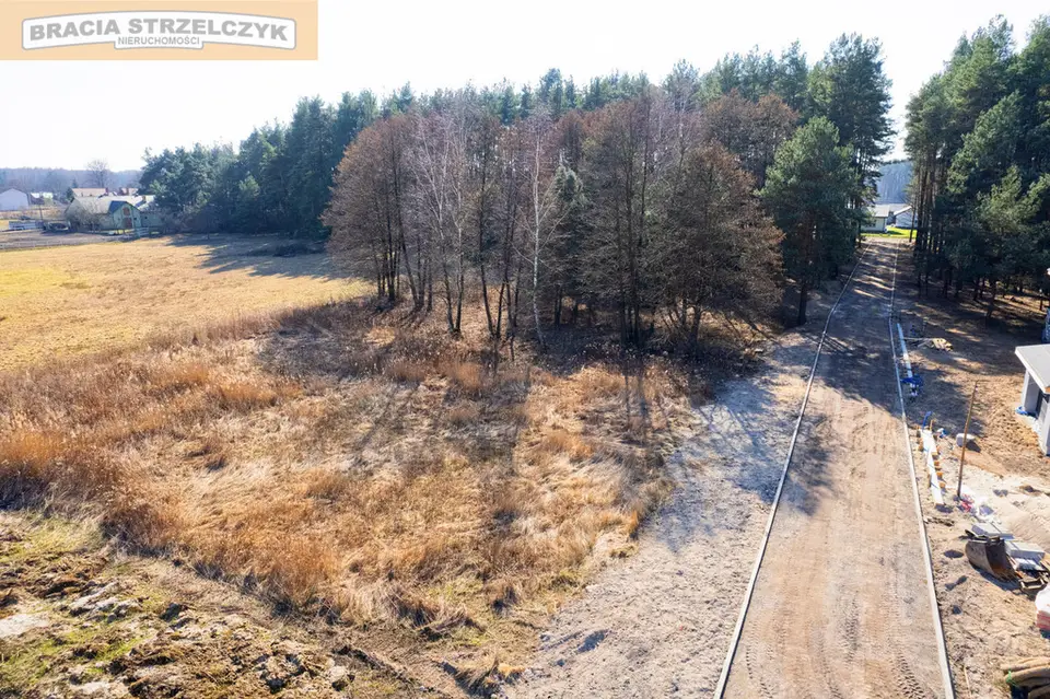 Zdjęcie 12
