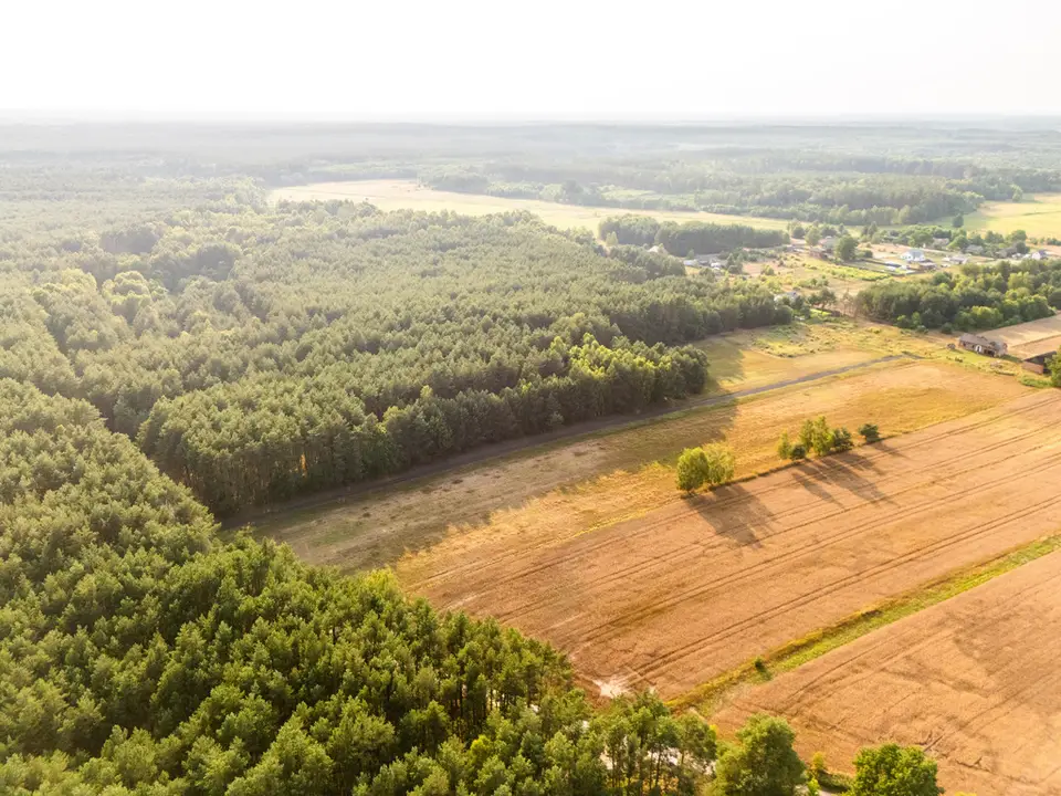 Działka budowlana 1 190 m², Ścichawa