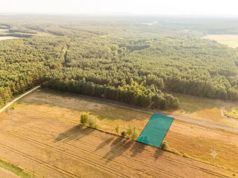 Zdjęcie 6