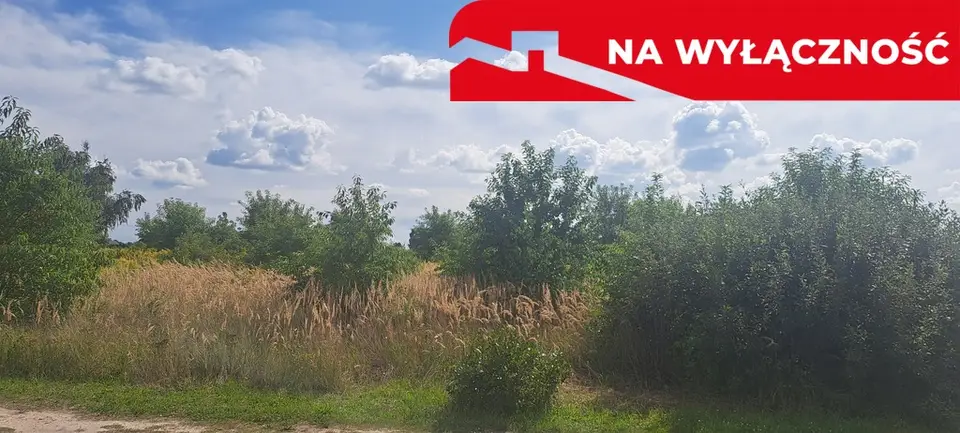 Zdjęcie 2