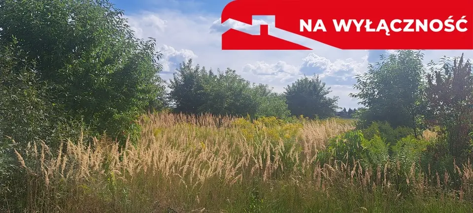 Zdjęcie 3