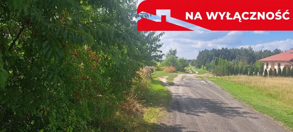 Zdjęcie 4