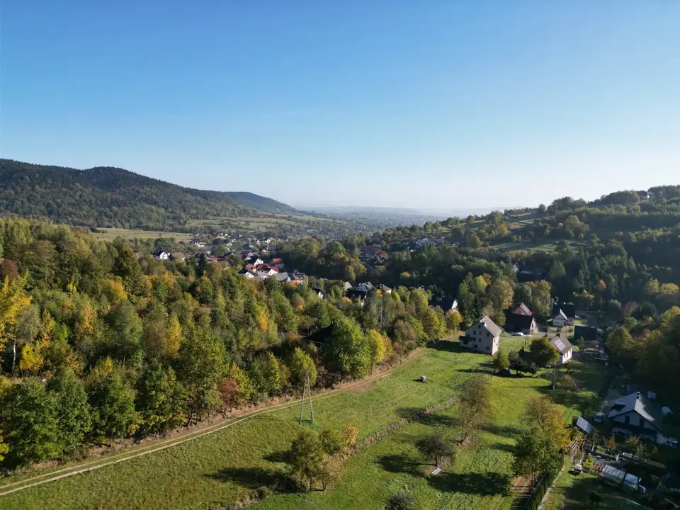 Zdjęcie 10